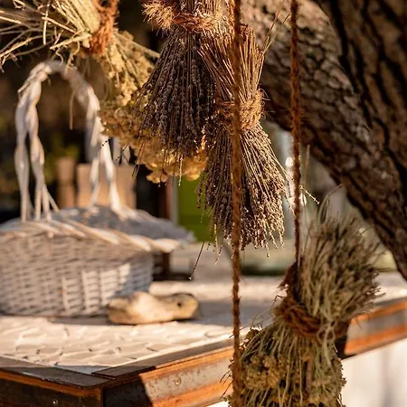 Nyaraló Cachee - Glamping