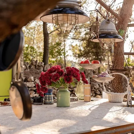 Nyaraló Cachee - Glamping *