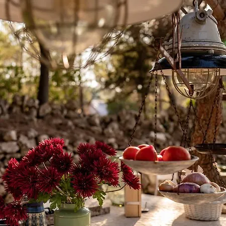 Cachee - Glamping Nyaraló