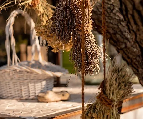 Holiday home Cachee - Glamping