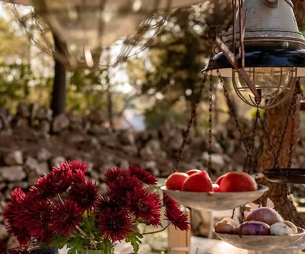 Cachee - Glamping Casa de Férias